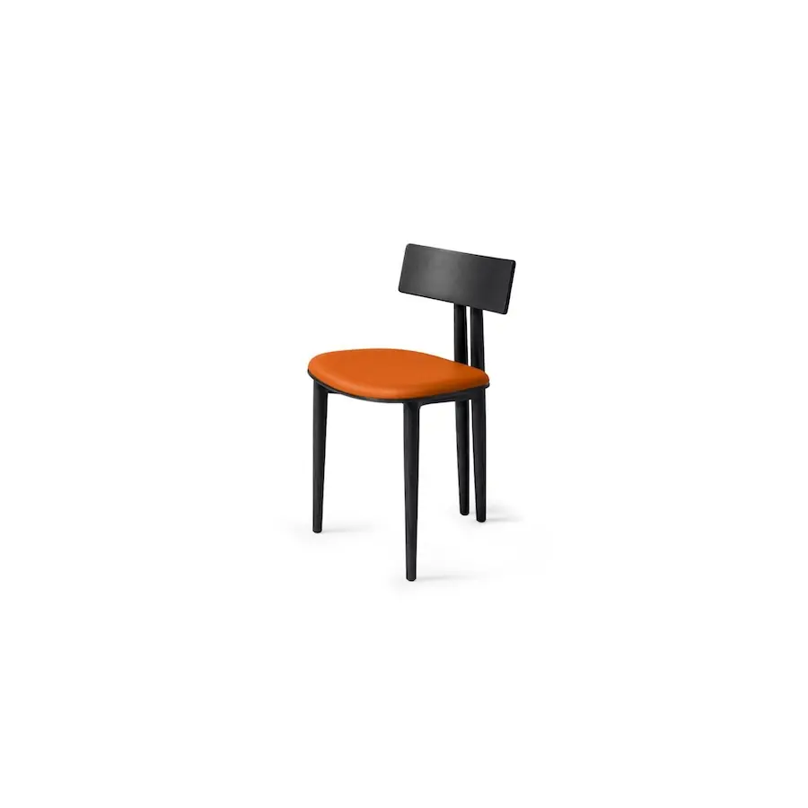 Silla Binata
